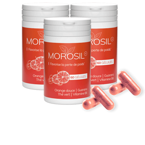Morosilgelules France